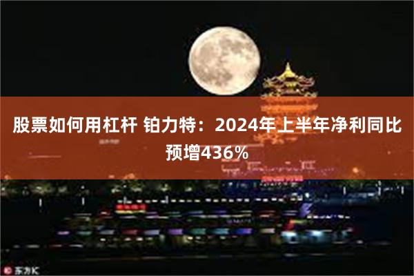 股票如何用杠杆 铂力特：2024年上半年净利同比预增436%