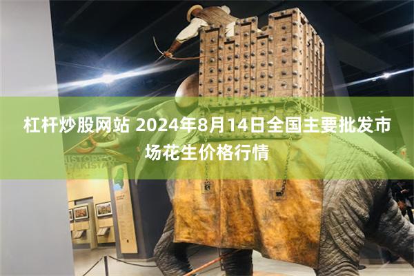 杠杆炒股网站 2024年8月14日全国主要批发市场花生价格行情