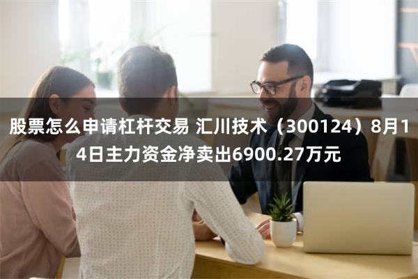 股票怎么申请杠杆交易 汇川技术（300124）8月14日主力资金净卖出6900.27万元