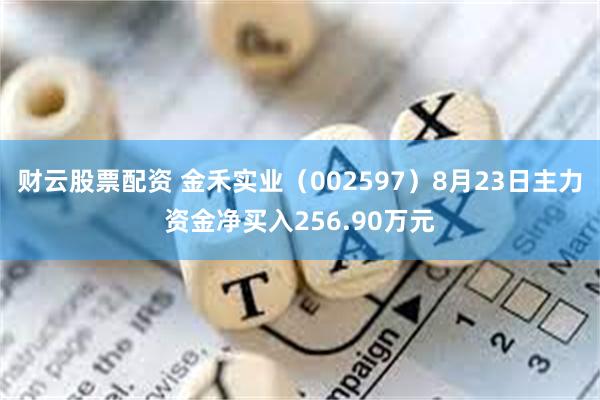 财云股票配资 金禾实业（002597）8月23日主力资金净买入256.90万元