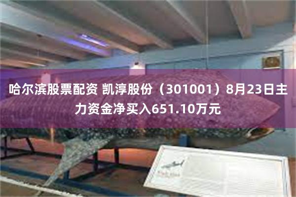 哈尔滨股票配资 凯淳股份（301001）8月23日主力资金净买入651.10万元