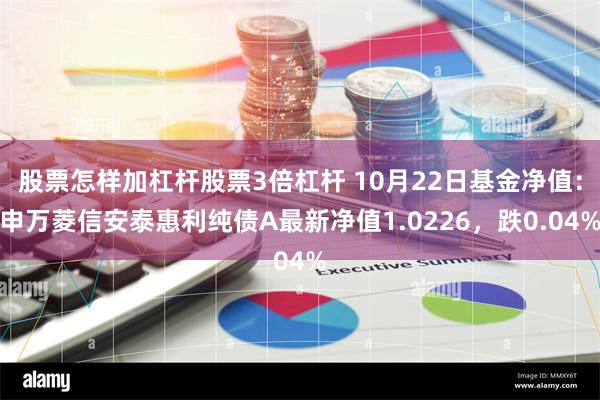 股票怎样加杠杆股票3倍杠杆 10月22日基金净值：申万菱信安