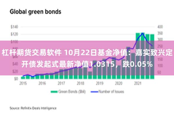 杠杆期货交易软件 10月22日基金净值：嘉实致兴定开债发起式