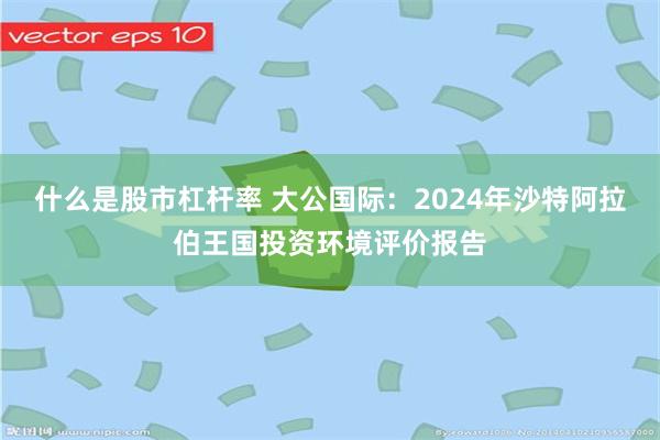 什么是股市杠杆率 大公国际：2024年沙特阿拉伯王国投资环境评价报告