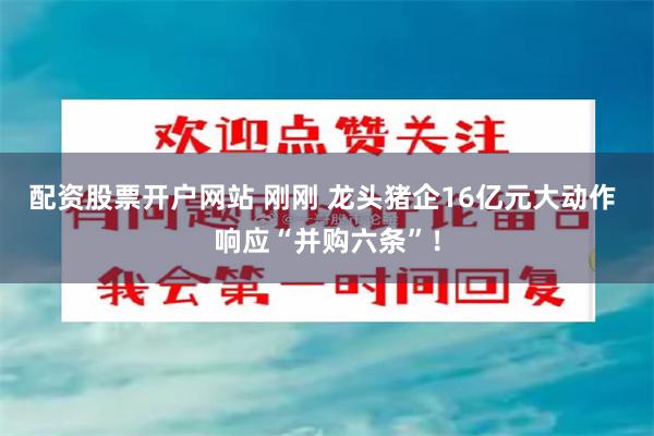 配资股票开户网站 刚刚 龙头猪企16亿元大动作 响应“并购六条”！