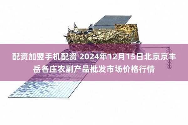 配资加盟手机配资 2024年12月15日北京京丰岳各庄农副产品批发市场价格行情